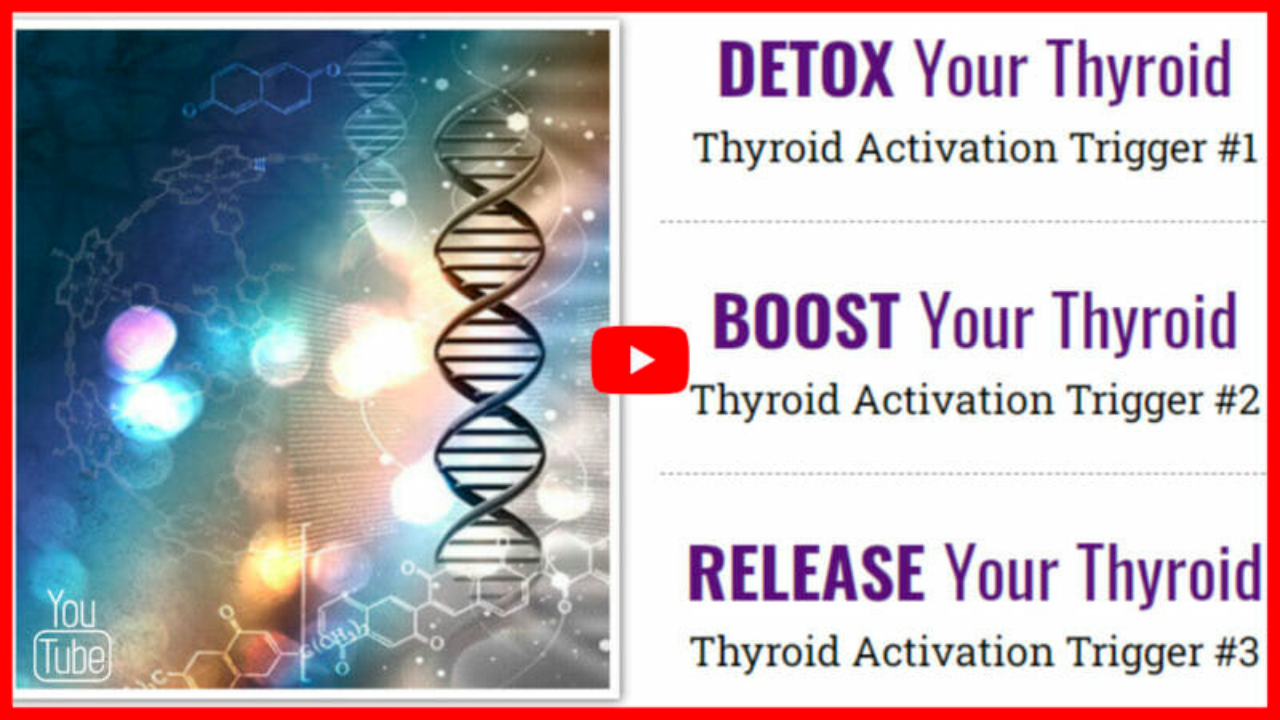 The Thyroid Factor Review: A Comprehensive Look at the 21-Day Thyroid Boosting Weight Loss System for Women. https://weightlosshq.site/the-thyroid-factor/